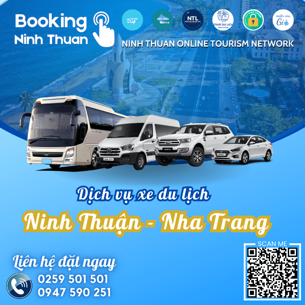 Thuê xe Ninh Thuận đi Nha Trang trọn gói giá tốt nhất tại Ninh Chữ Travel Life