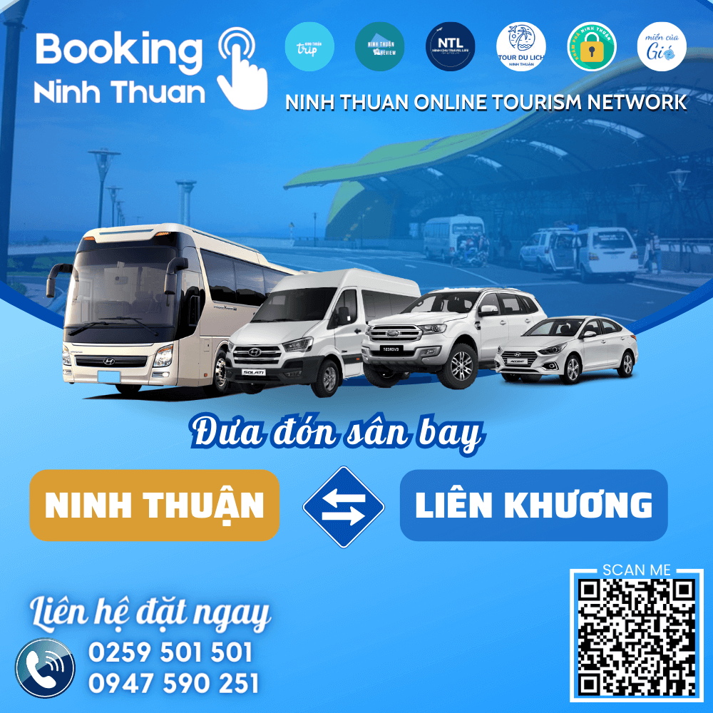 Đặt thuê xe Ninh Thuận đi sân bay Liên Khương giá tốt nhất tại Ninh Chữ Travel Life