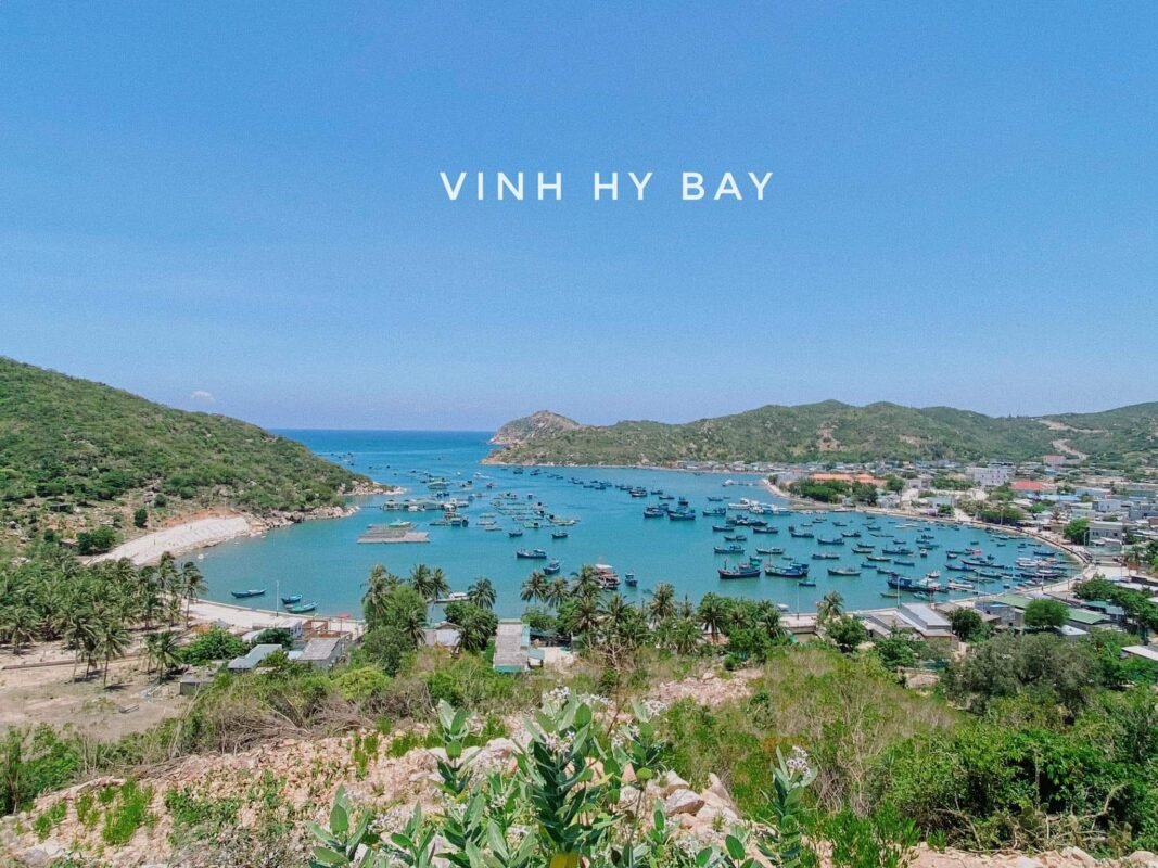 Khám phá vẻ đẹp vịnh Vĩnh Hy trong tour ghép lẻ Ninh Thuận hàng ngày. Ảnh: Ha Nguyen