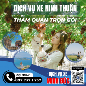 Đặt thuê xe tham quan Ninh Thuận giá rẻ chất lượng tốt nhất tại dịch vụ xe Minh Đức. Ảnh: AD